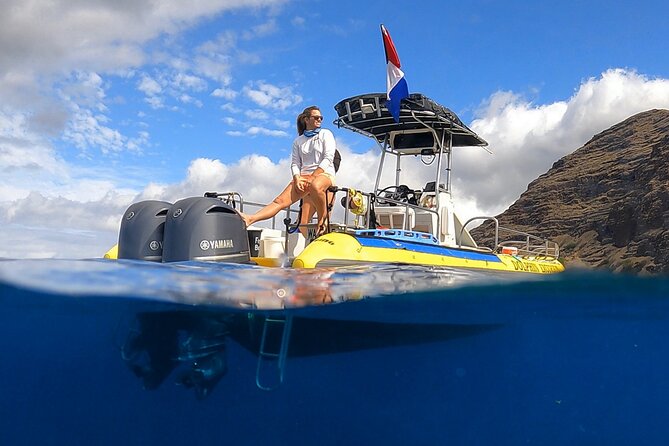 Wild Dolphin Watching and Snorkel Safari off West Coast of Oahu - Just The Basics