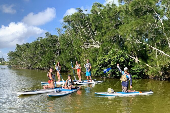 Wildlife Refuge Manatee, Dolphin & Mangrove Kayak or Paddleboarding Tour! - Viator Information and Special Offers