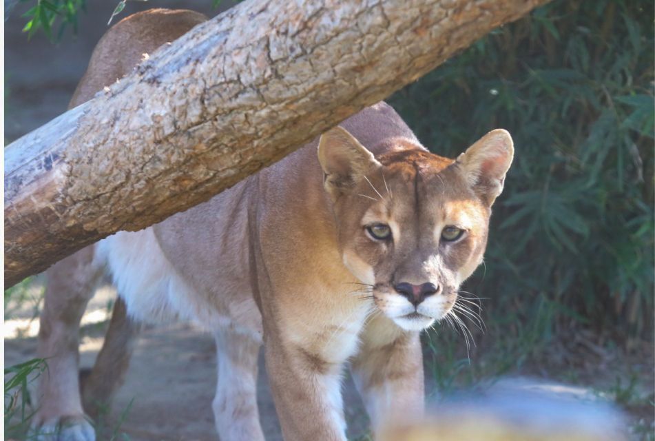 Wildlife Rescue Center and Preservation Park - Last Words