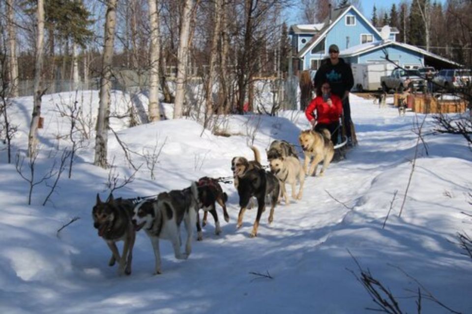 Willow: Traditional Alaskan Dog Sledding Ride - Last Words