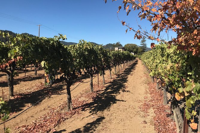 Wine Country Small-Group Tour From San Francisco With Tastings - Pickup Details