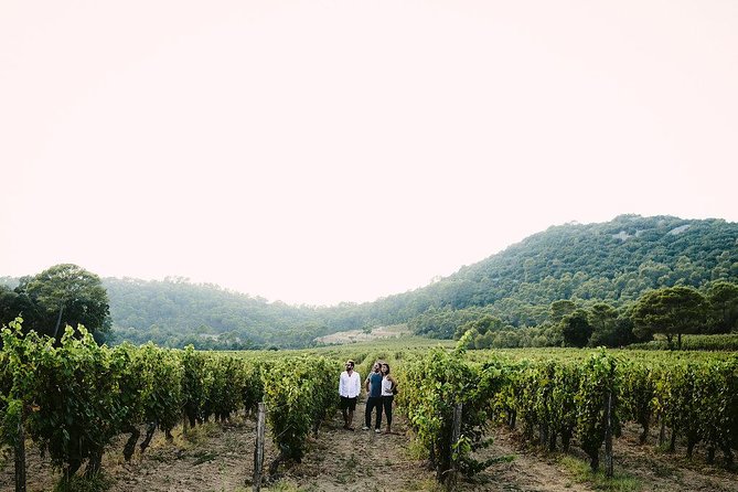 Winetour and Homemade Food Experience in Pic St Loup - Conclusion