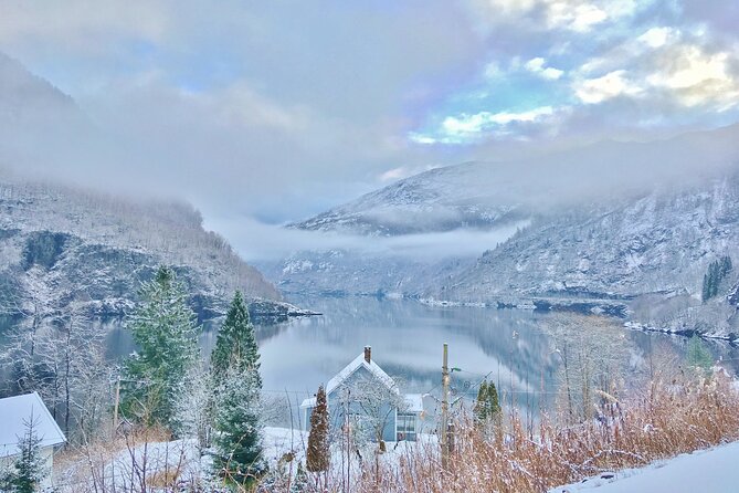 WINTER TRANSFER Bergen - Flåm, Gudvangen - Last Words