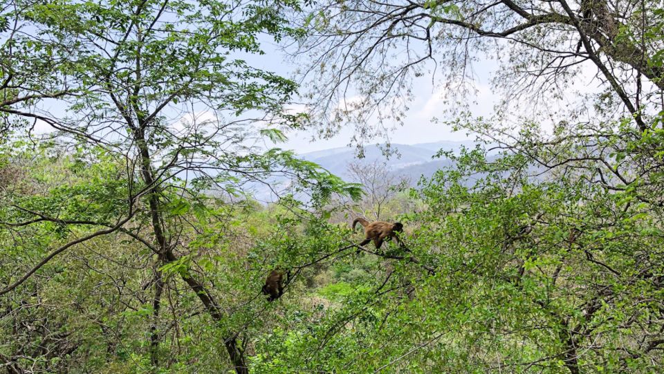 Yungas : Full Day With Gauchos - Transfer Inc. From Salta - Booking Details and Location Information