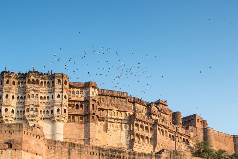 8 - Days Golden Triangle Tour With Jodhpur - Key Points