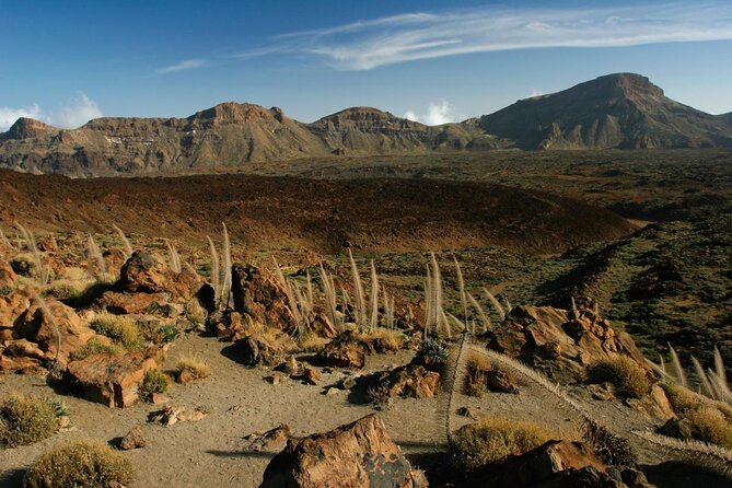 8 Days Hiking Tour in Tenerife 18-25 Dec  and 17-24 Jan - Key Points