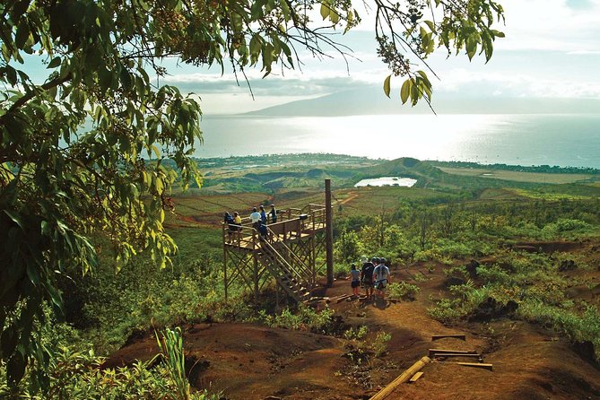 8 Line Kaanapali Zipline Adventure on Maui - Just The Basics