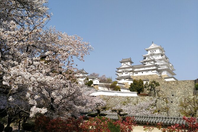 2.5 Hour Private History and Culture Tour in Himeji Castle - Last Words