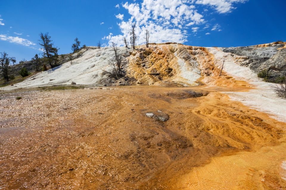 7-Day Yellowstone National Park Rocky Mountain Explorer - Common questions