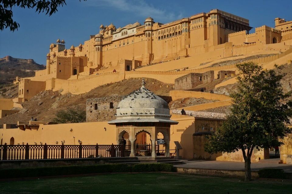 9 Days Golden Triangle India Tour With Jodhpur & Jaisalmer - Tour Pricing