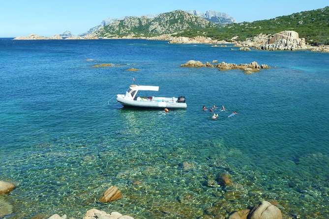 A Half-Day Dolphin-Spotting Cruise in a Rubber Dinghy  - Sardinia - Last Words