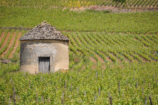 A Private Wine Tasting Tour Through Burgundy (Mar ) - Common questions