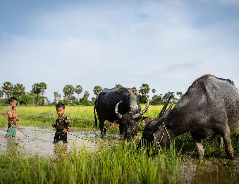 Activities Shouldn't Miss Out In Siem Reap - Last Words