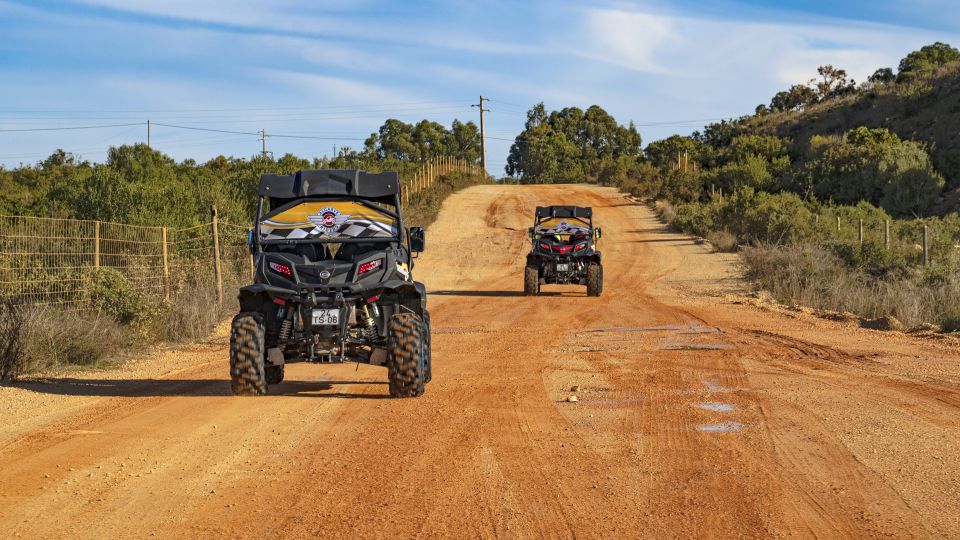 Albufeira: Full Day Off-Road Buggy Tour With Lunch & Guide - Customer Reviews and Additional Info