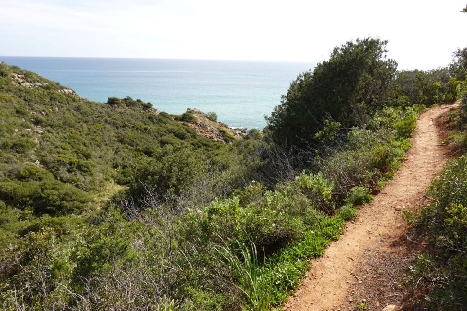 Algarve: Guided WALK in the Natural Park South Coast - Last Words