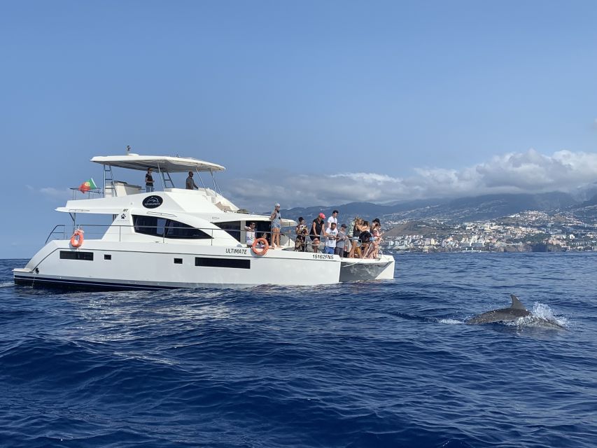 All Inclusive Whale and Dolphin Watching Luxury Tour - Last Words