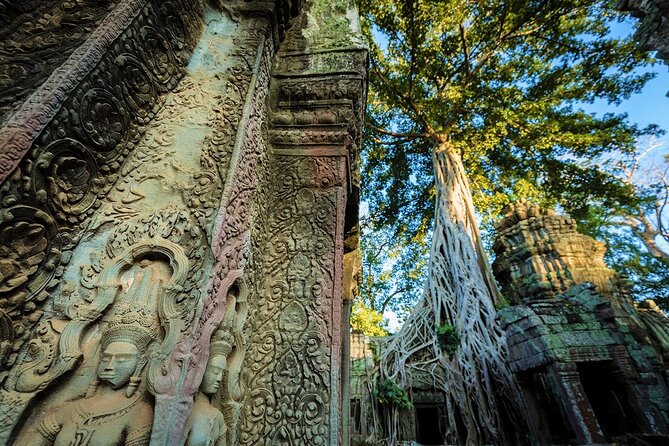 Angkor Wat Sunrise & All Highlight Angkor Temple Private Day Tour - Last Words