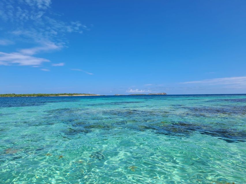 Antigua: Stingray City Experience Ticket - Last Words