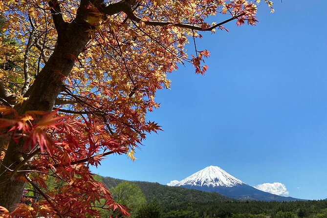 Aokigahara Nature Conservation Full-Day Hiking Tour - Directions for Aokigahara Nature Conservation