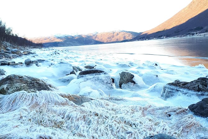 Arctic Fjord and Landscape Tour - Common questions