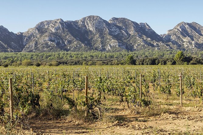 Arles - St Remy - Les Baux De Provence - 8h - Last Words