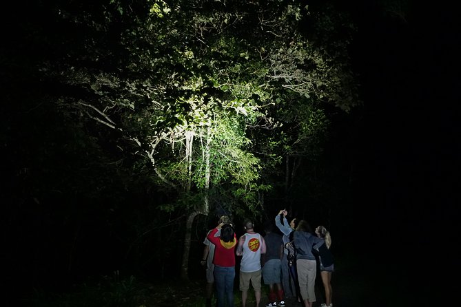 Atherton Tablelands Rain Forest by Night From Cairns - Common questions