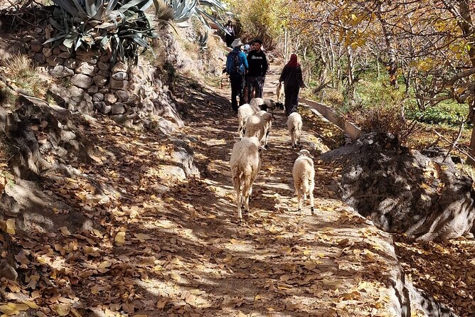 Atlas Mountains Three Valley and Berber Villages & Watterffalls Day Tour - How to Book