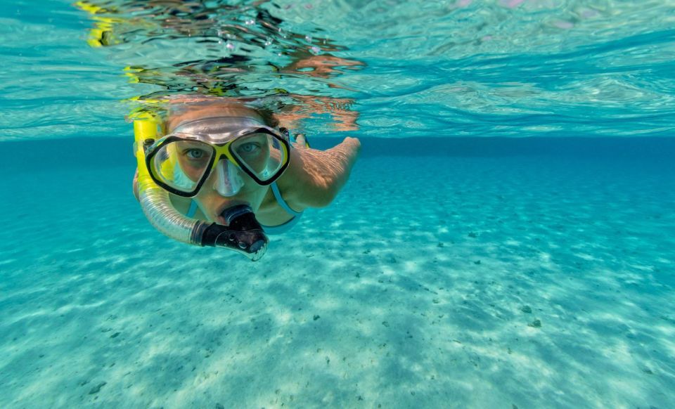 ATV, Dunn's River Falls & Catamaran Party Cruise &Snorkeling - Memorable Underwater Snorkeling Adventure