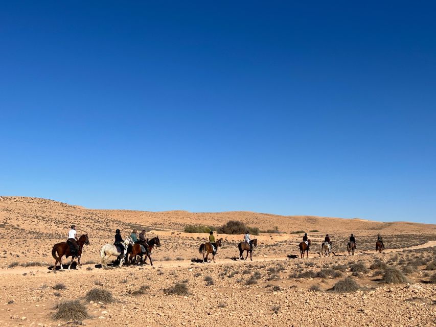 Authentic Tozeur on Horseback With Private Transfer - Last Words