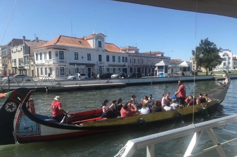 Aveiro and Coimbra Private Tour - Last Words