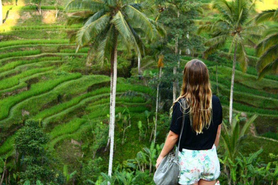 Bali: Ubud Rice Terraces, Temples and Volcano Day Trip - Pickup and Transportation