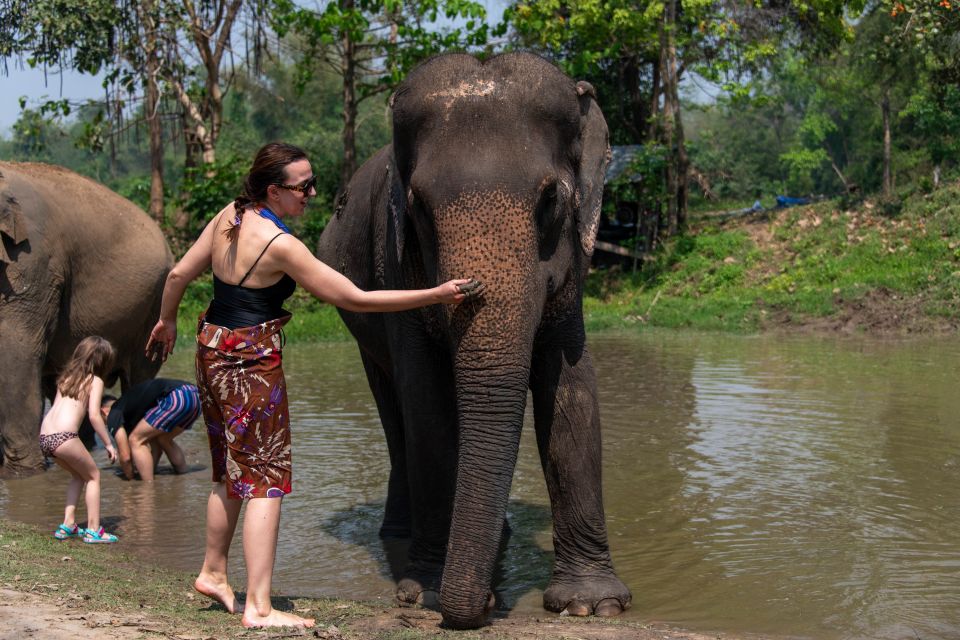 Bangkok: Elephant Sanctuary & Erawan Waterfall Tour - Last Words