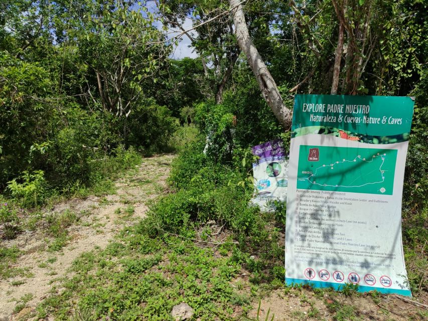 Bayahibe: National Park Jungle Walk & Snorkeling in Cenotes - Last Words