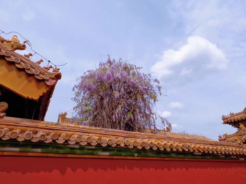 Beijing: Forbidden City and Tian'anmen Square Walking Tour - Expert Tips