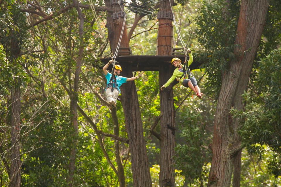 Big Island: Full-Day Kohala Zipline and Waterfall Adventure - Booking and Cancellation