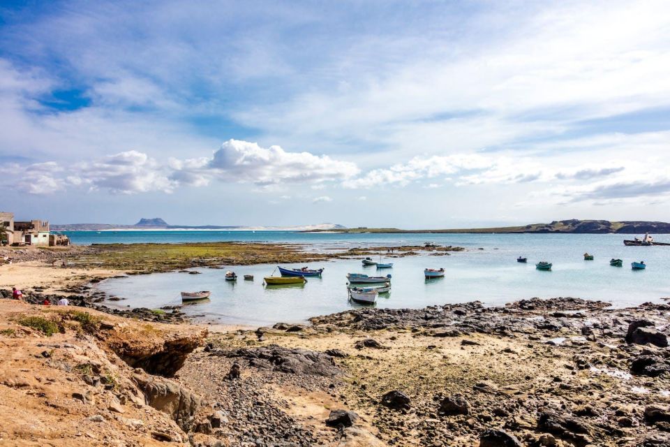 Boa Vista Full Day 4x4 Island Tour With Beachfront Lunch - Common questions