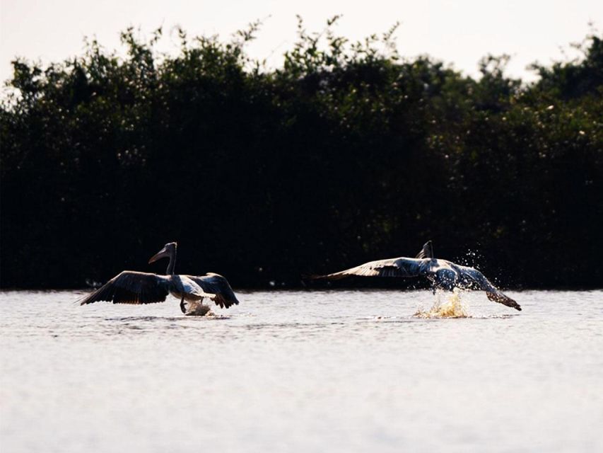 Boeng Peariang Bird Sanctuary in Siem Reap - Last Words