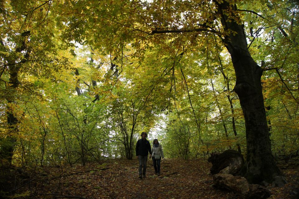 Budapest: Hiking Tour in the Buda Hills - Last Words