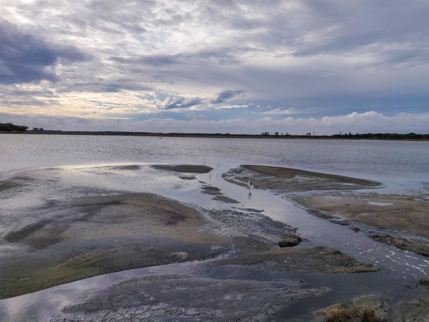 Bundala National Park: 3-Hour Morning or Evening Safari - Booking and Meeting Point