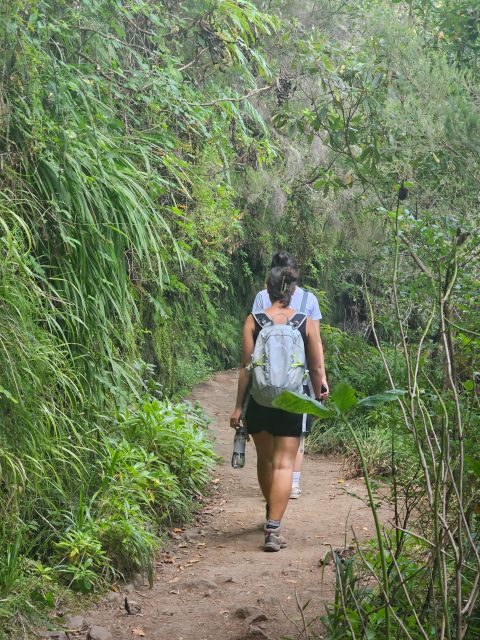 Caldeirão Verde Trail by Overland Madeira - Free Cancellation Policy