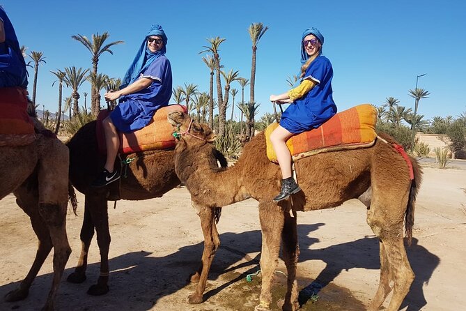 Camel Ride at the Palm Groves in Marrakech - Viator Booking and Assistance