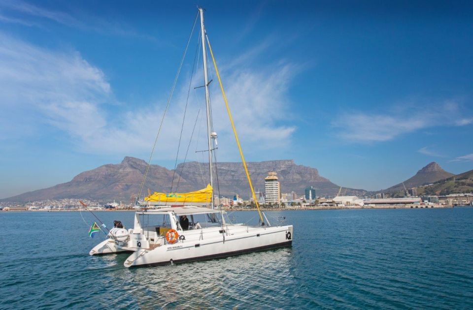 Cape Town: V&A Waterfront Champagne Cruise - Common questions