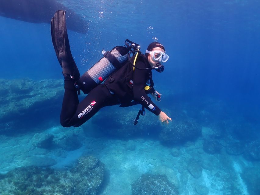 Cebu: Boat Diving Two Dive Tour in Olango Island - Common questions