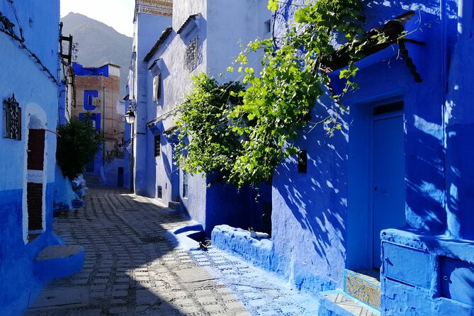 Chefchaouen Private Full Day Excursion & Panoramic of Tangier - Last Words