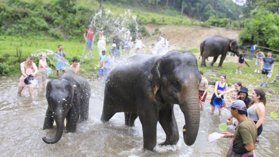 Chiang Mai: Doi Inthanon and Elephant Sanctuary Tour & Hike - Last Words