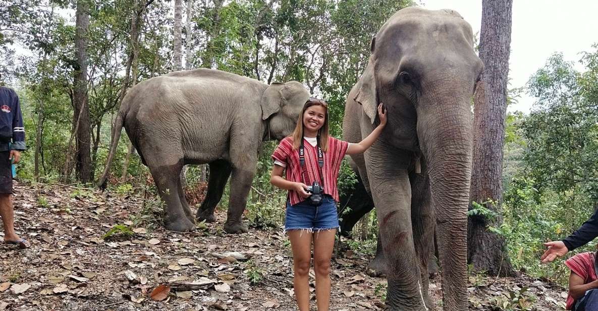 Chiang Mai: Elephant Sanctuary & Waterfall Group Tour - Common questions