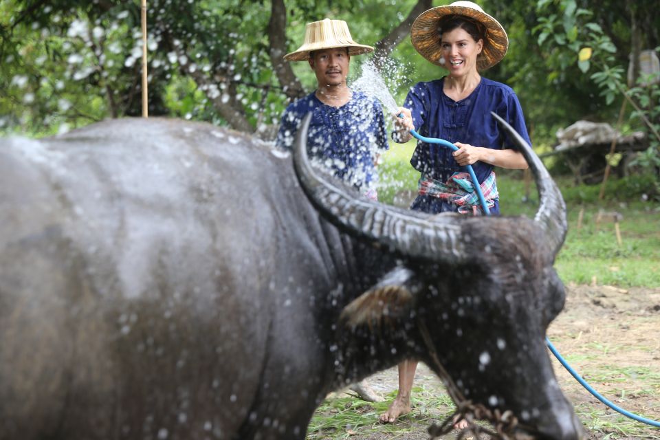Chiang Mai: Thai Buffalo and Rice Planting Experience - Last Words