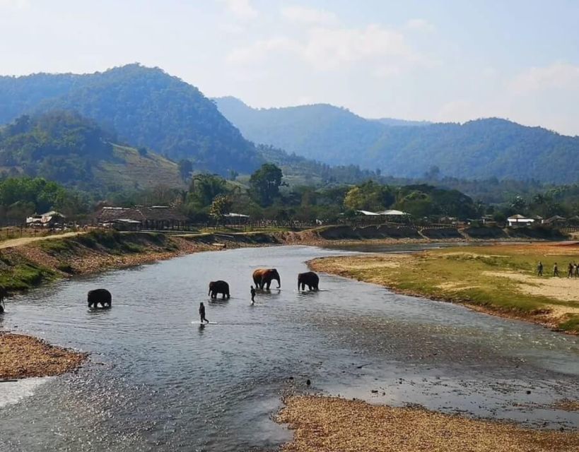 Chiang Mai White Water Rafting & ATV Adventure - Last Words