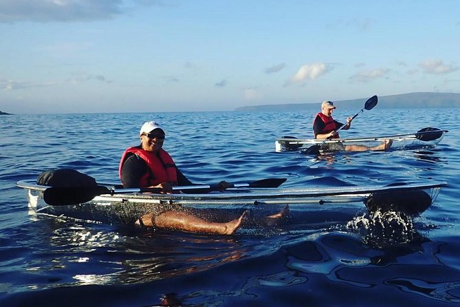 Clear Kayak and Snorkel Tour at Turtle Town, Makena - Sea Life Encounters and Feedback