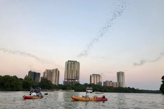 Congress Avenue Bat Bridge Kayak Tour in Austin - Traveler Photos and Host Responses